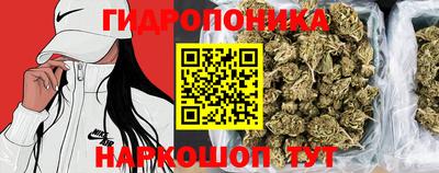 мяу мяу кристалл Кингисепп