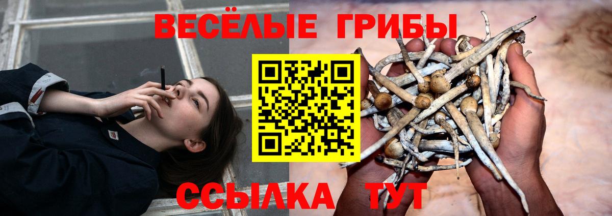 Галлюциногенные грибы ЛСД Котельники