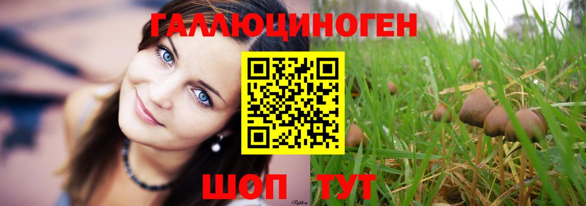 Котельники  Галлюциногенные грибы ЛСД  Вход с VPN  Галлюциногенные грибы ЛСД 